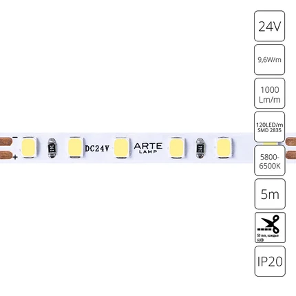 Светодиодная лента 24V 9,6W m 6000К 5м Arte Lamp TAPE A2412005-03-6K